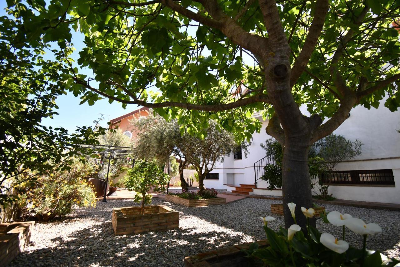 Villa Maria, Piscina Y Spa Exterior Privado Belicena Екстер'єр фото
